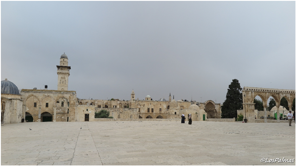 explanada de las mezquitas jerusalen - jerusalem - gerusalemme