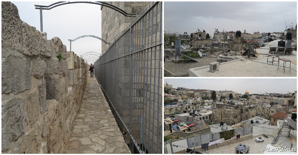 rampant walks murallas ciudad vieja jerusalén  - jerusalem - gerusalemme