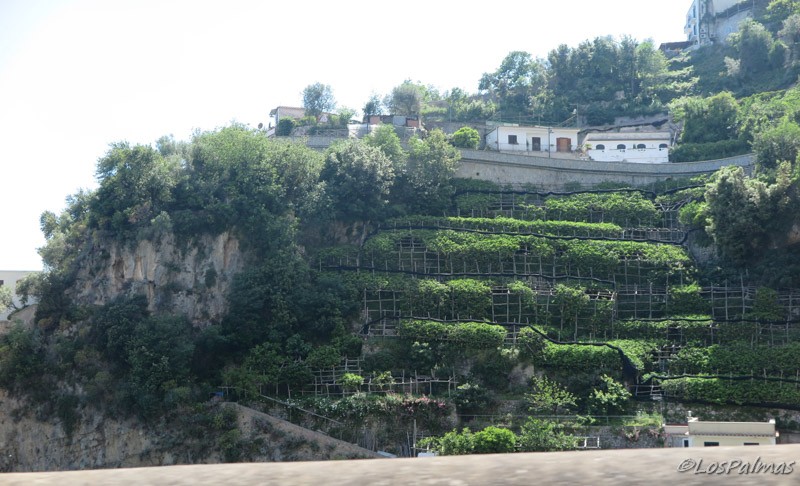 limoneros - amalfi italia