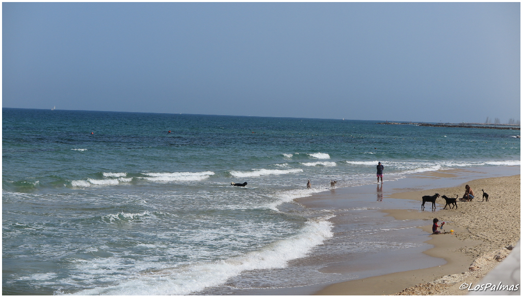 Tel Aviv Israel playa mediterráneo