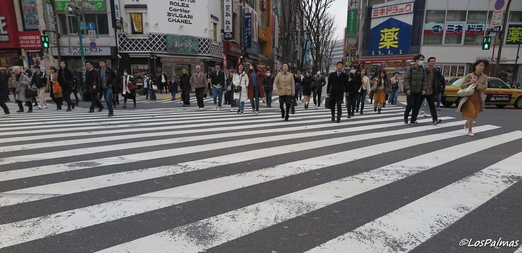 tokio pasos de cebra en shijuku japon japan