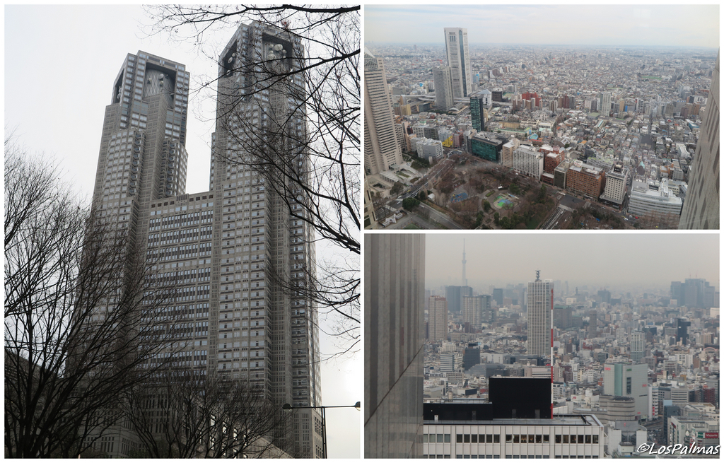 edificio metropolitano tokio vistas japon japan