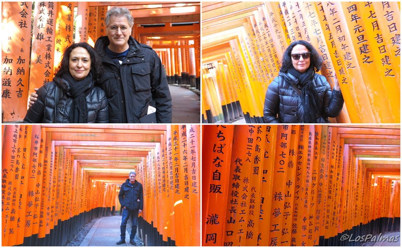 bajo los torii de Fushimi_inari_kioto_kyoto