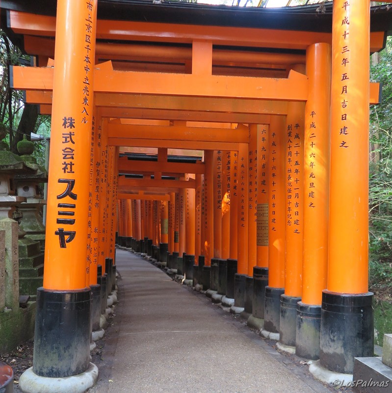 Fushimi_inari_kioto_kyoto 