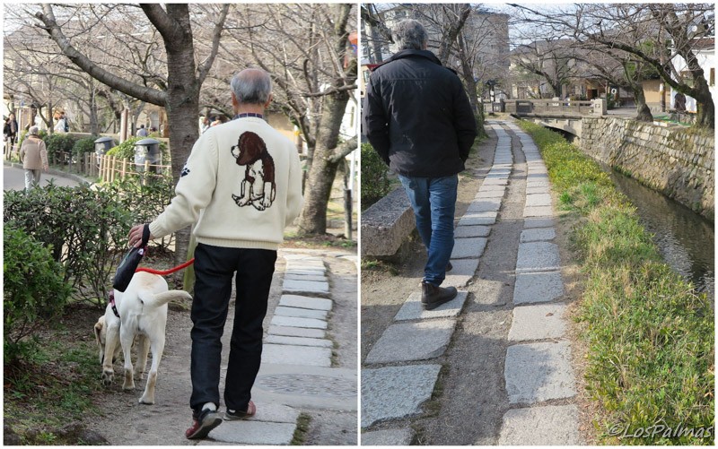 philosophers_path_camino_del_filosofo_kyoto_kioto
