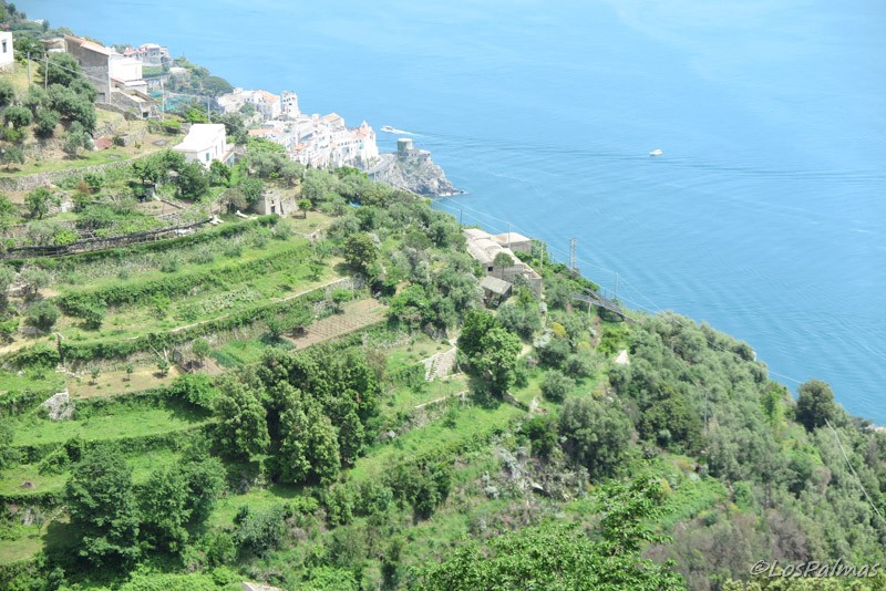 Trattoria Rispoli Pogerola Amalfi Italia