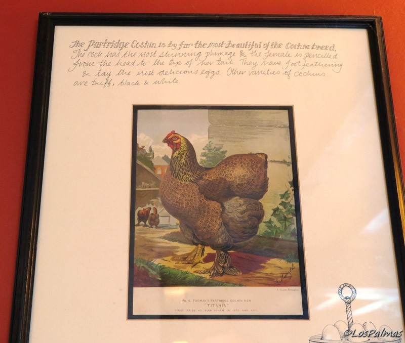 Partridge Cochin pub the Slaughters Cotswolds