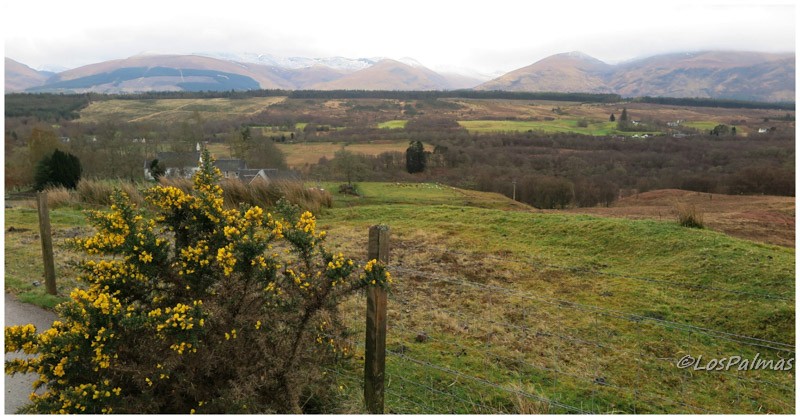 Paisaje escocés Scottish Landscape