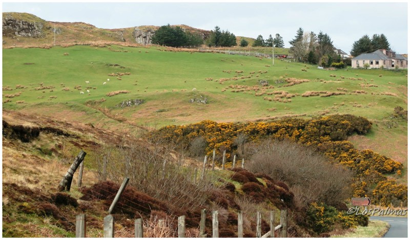 Skye Island Landscape