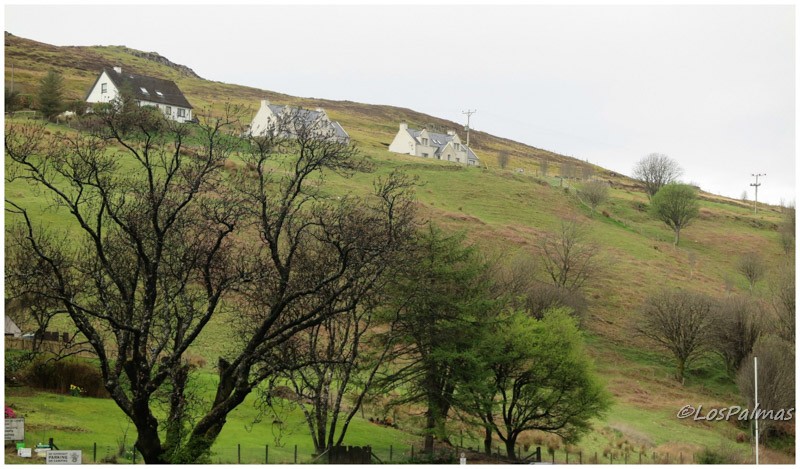 Ladera en las cercanías de Talisker