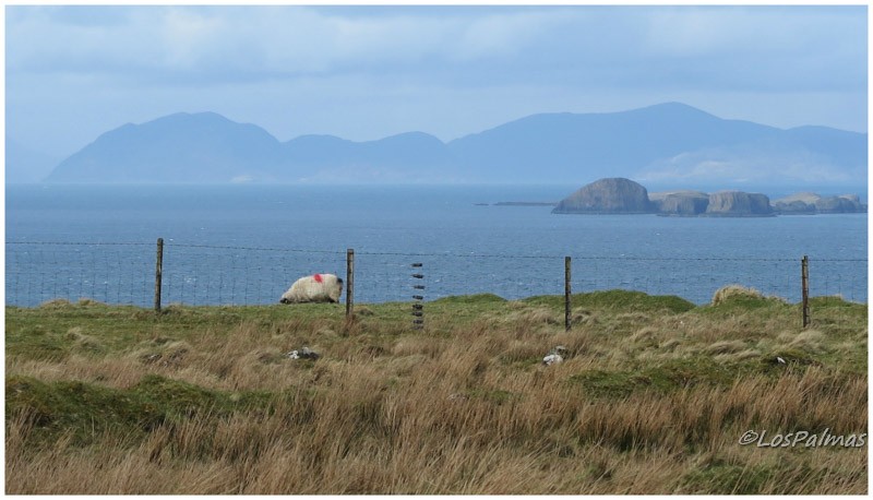 Skye Island Escocia