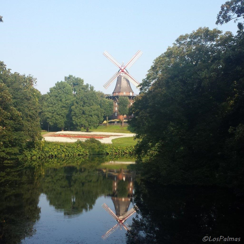 Mulino - Windmill