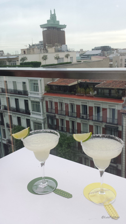 Margaritas con vistas a la calle Serrano
